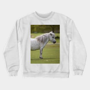 Miniature Horse. Crewneck Sweatshirt